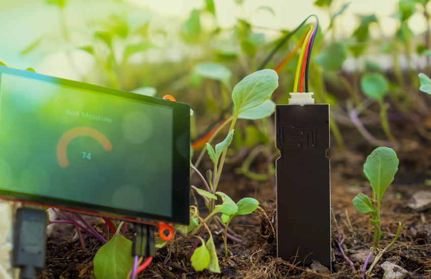 Sensor ambiental instalado en bosque para monitoreo de calidad del aire y prevención de impactos